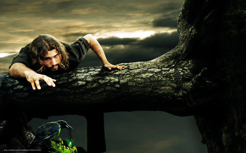 man on a tree branch