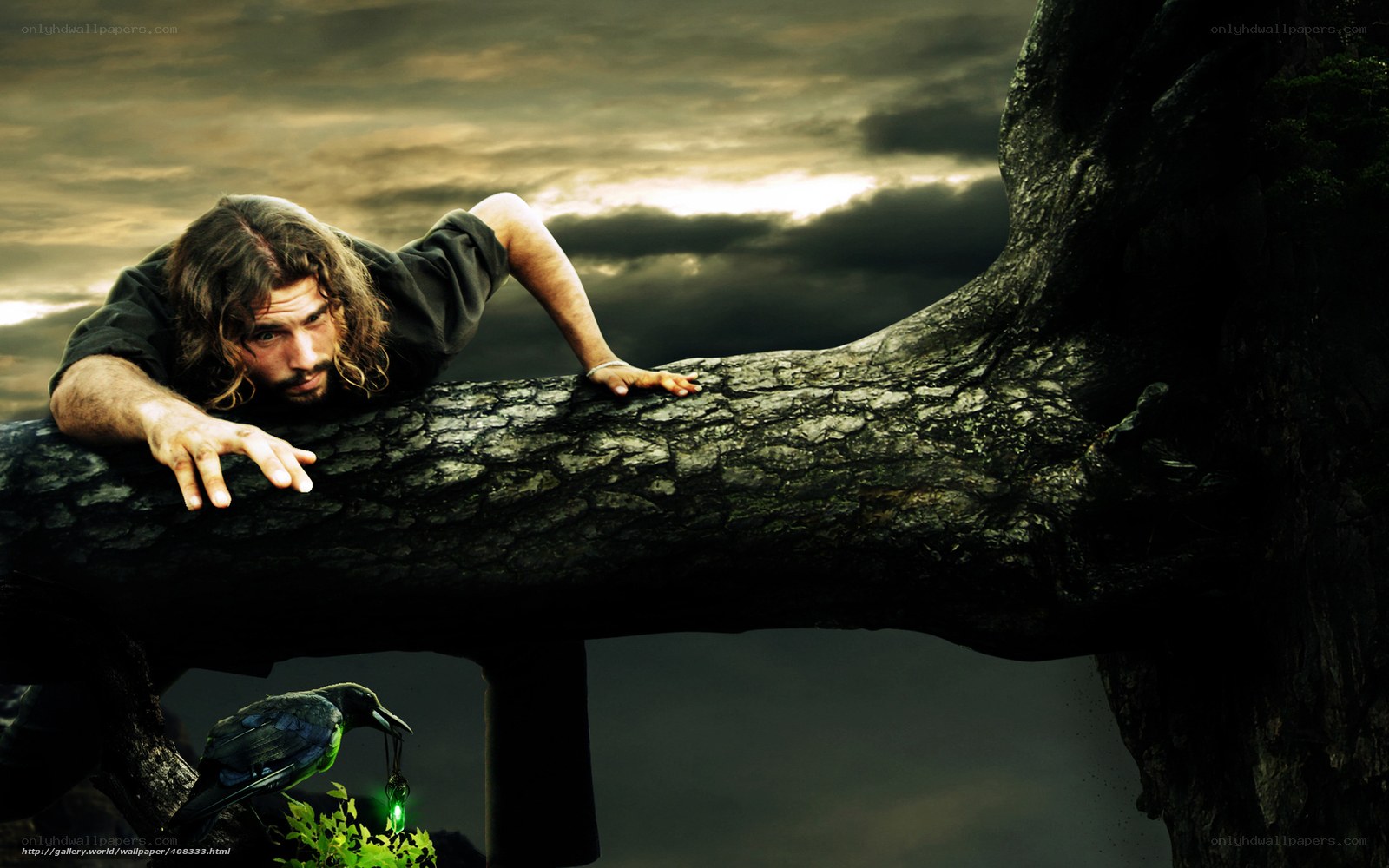 man on a tree branch