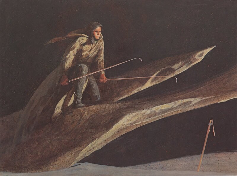 Man on a whale's back