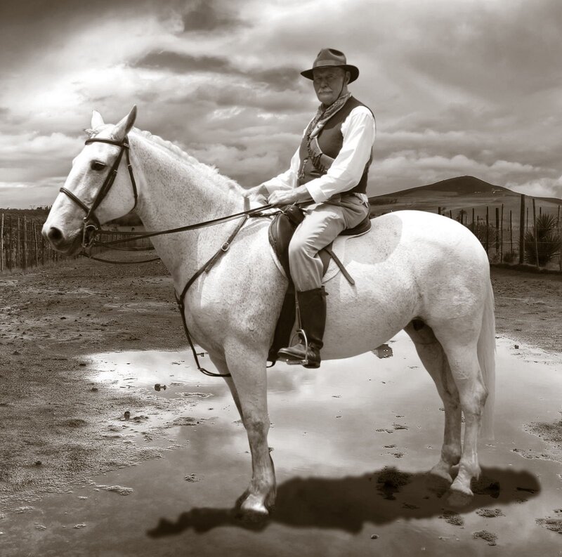 Man on a white horse