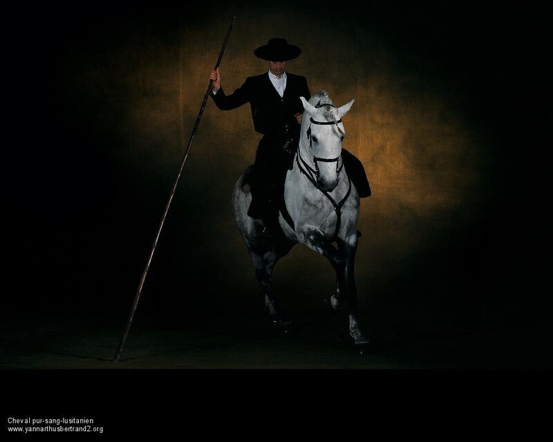 Man on a white horse with a staff