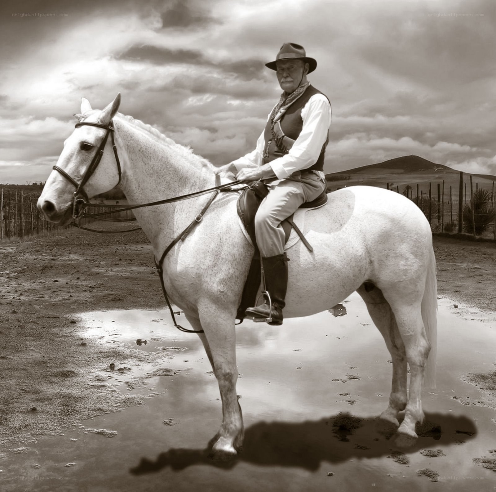 Man on a white horse