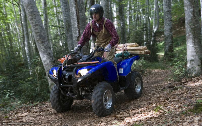 Man on ATV in Forest