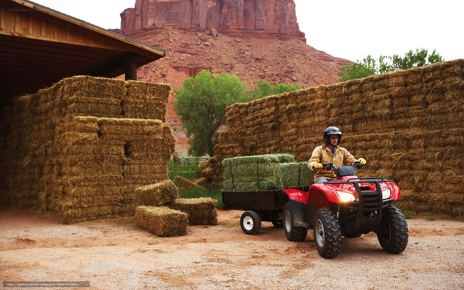 Man on ATV with hay bales