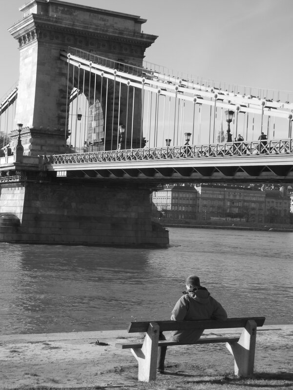 Man on bench by bridge