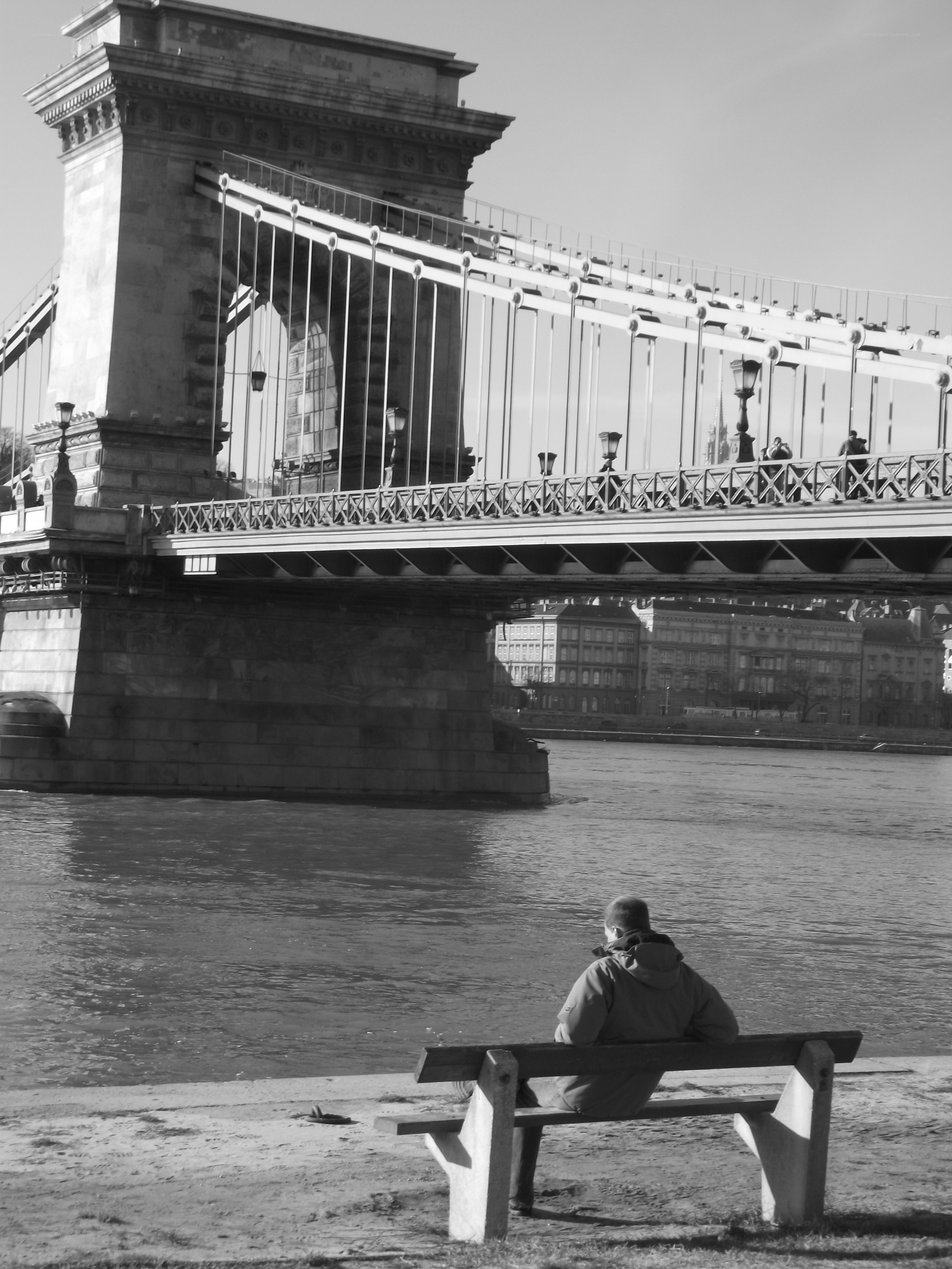 Man on bench by bridge