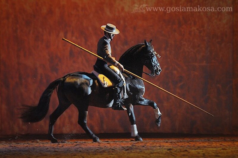 Man on Black Horse — Brown