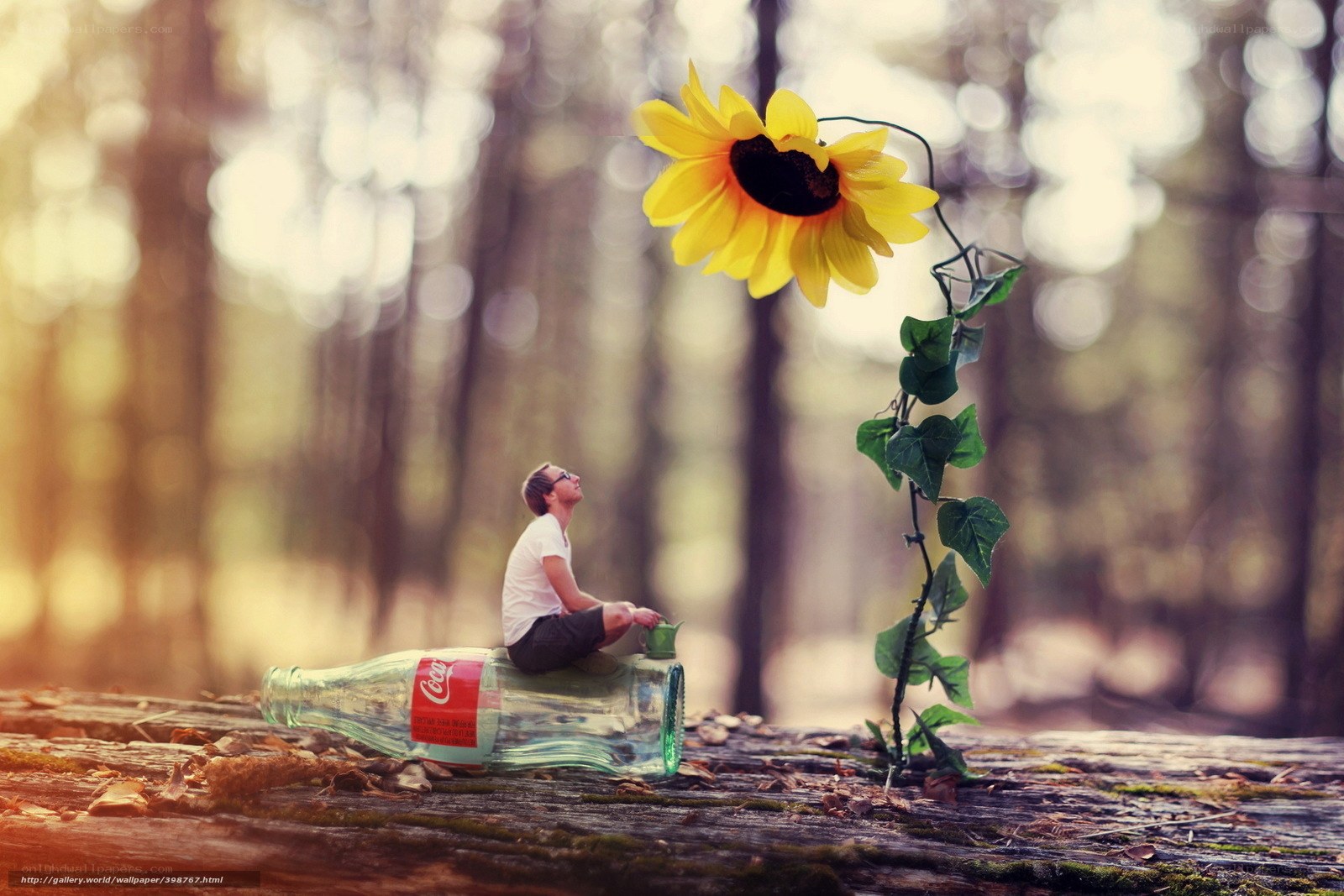 Man on bottle with sunflower