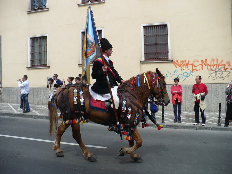 Man on Decorated Horse — Brown