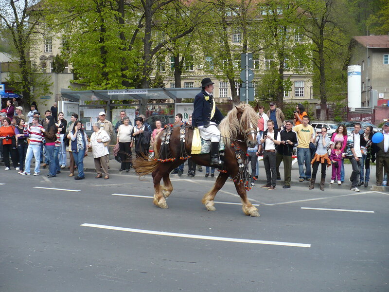 Man on Decorated Horse