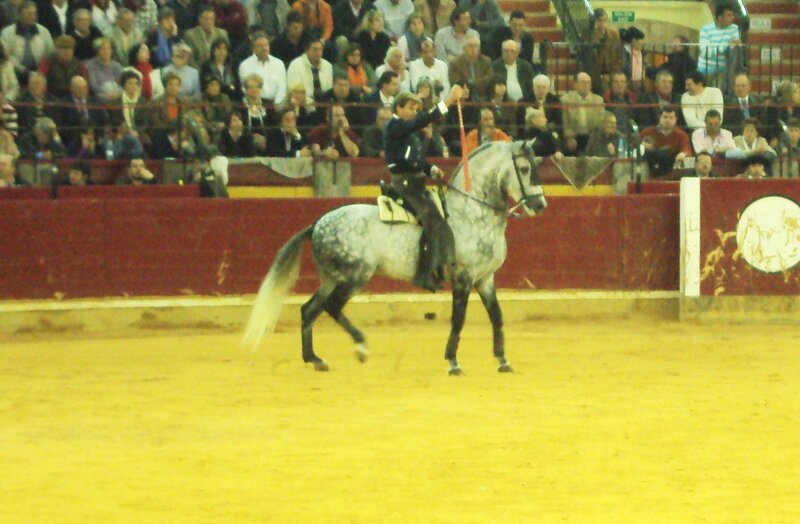 Man on Grey Horse
