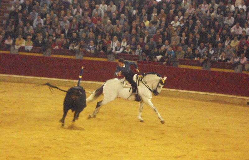 Man on Horse Chasing Bull
