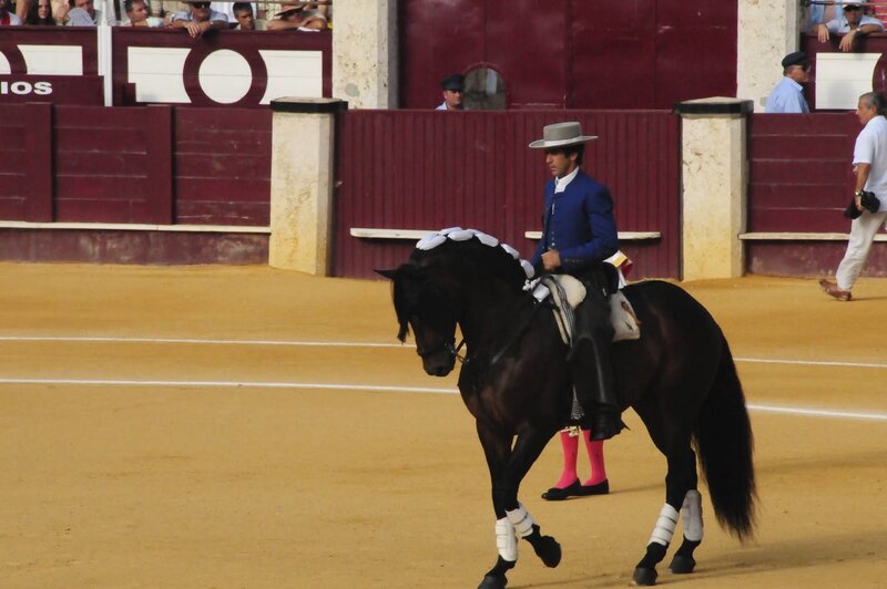 Man on horse in bullfighting arena