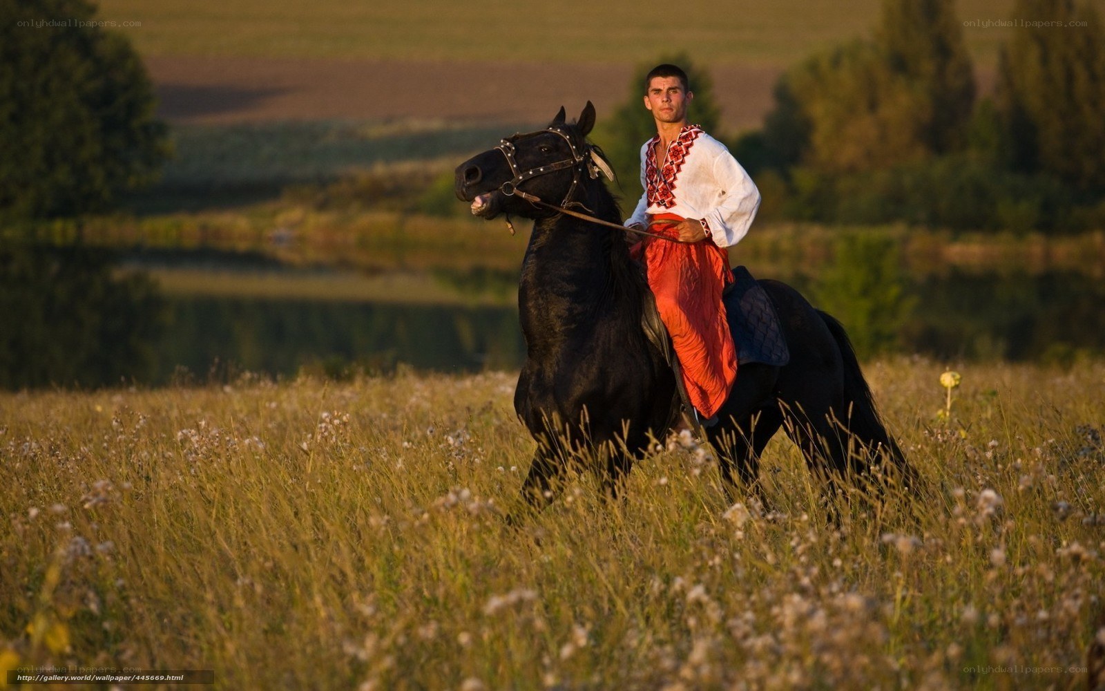 Man on horse in field