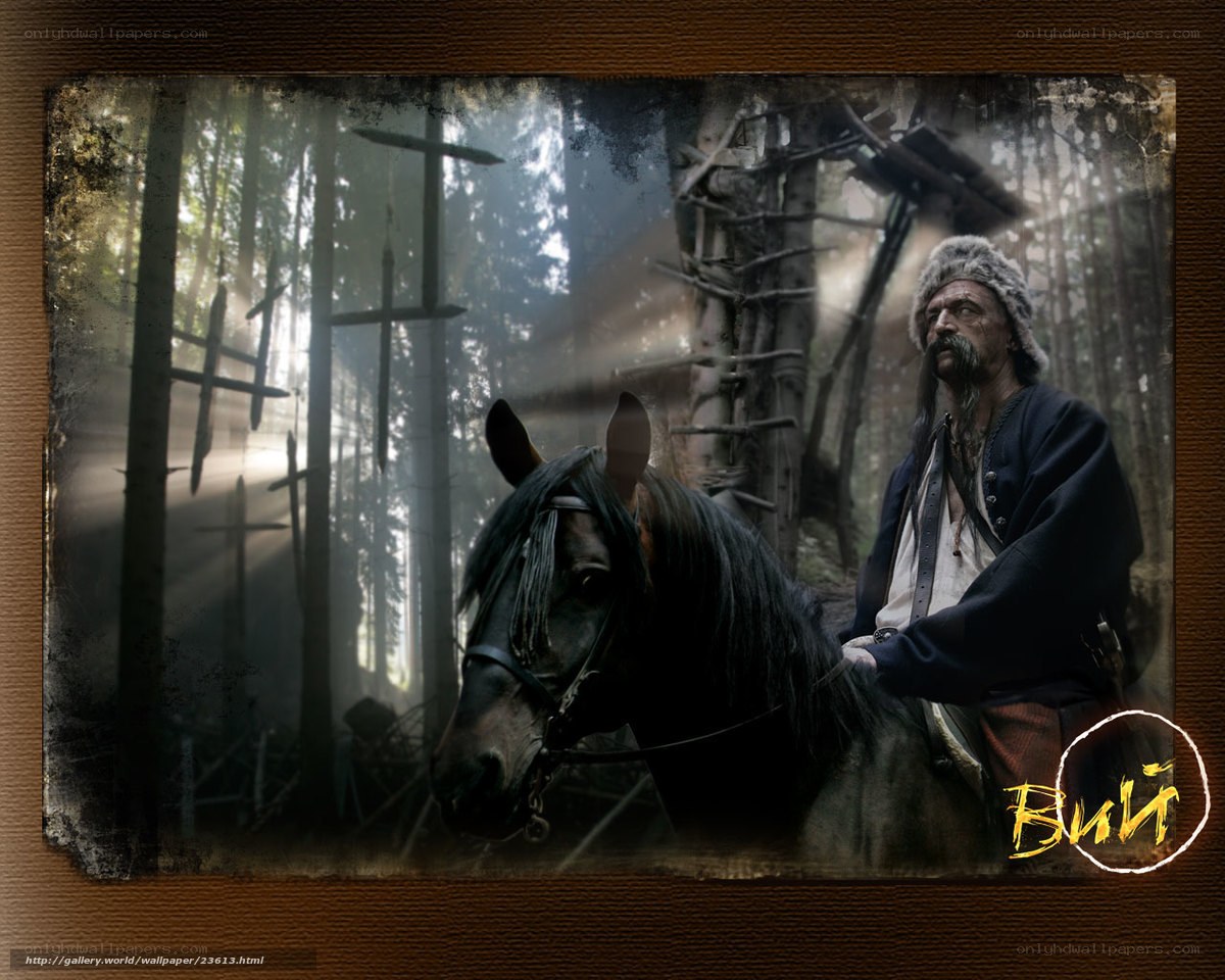 Man on horse in forest