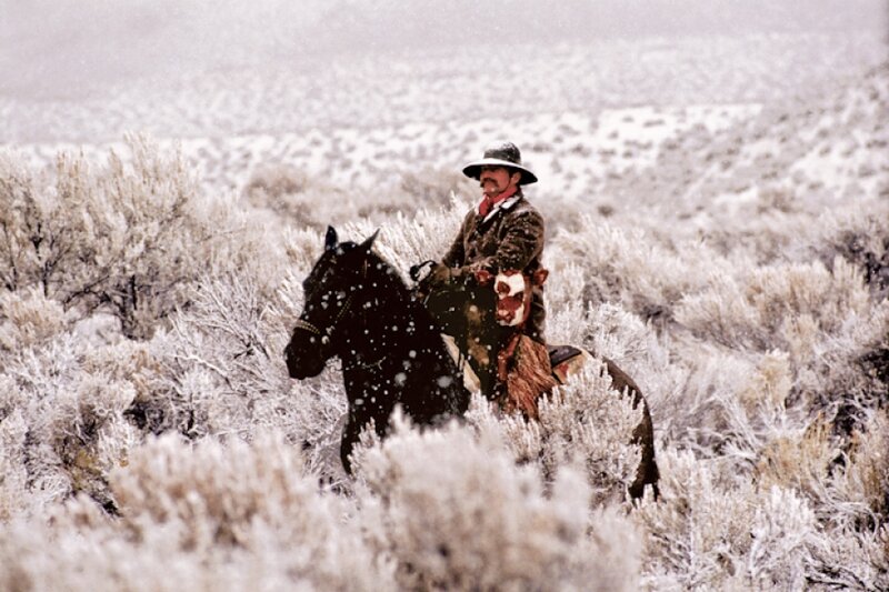 Man on Horse in Snow