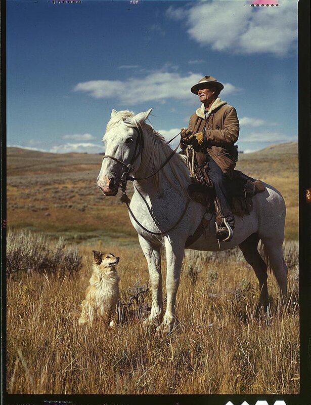 Man on horse with dog in field