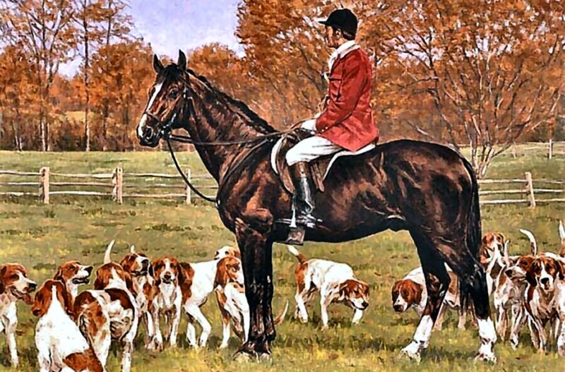 Man on Horse with Hounds — Brown