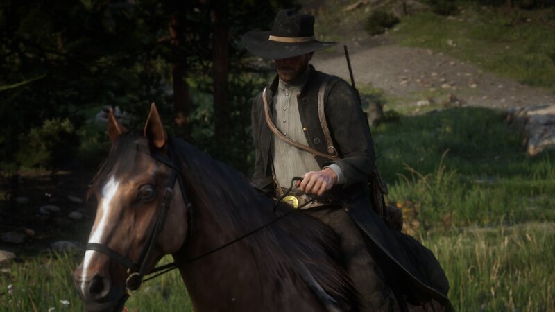 Man on Horseback — Brown, Calm, Afternoon