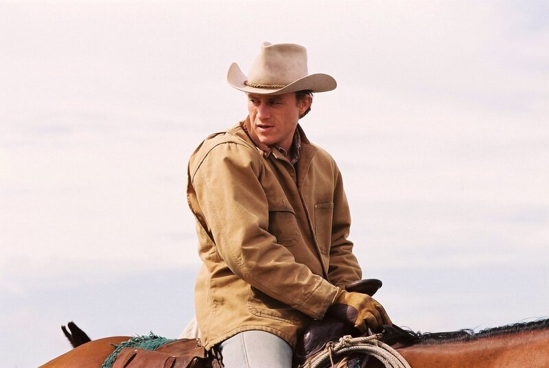 Man on Horseback — Brown, Calm