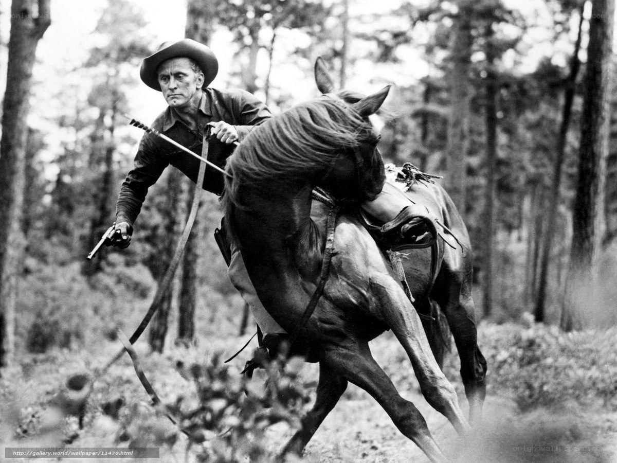 Man on horseback in forest