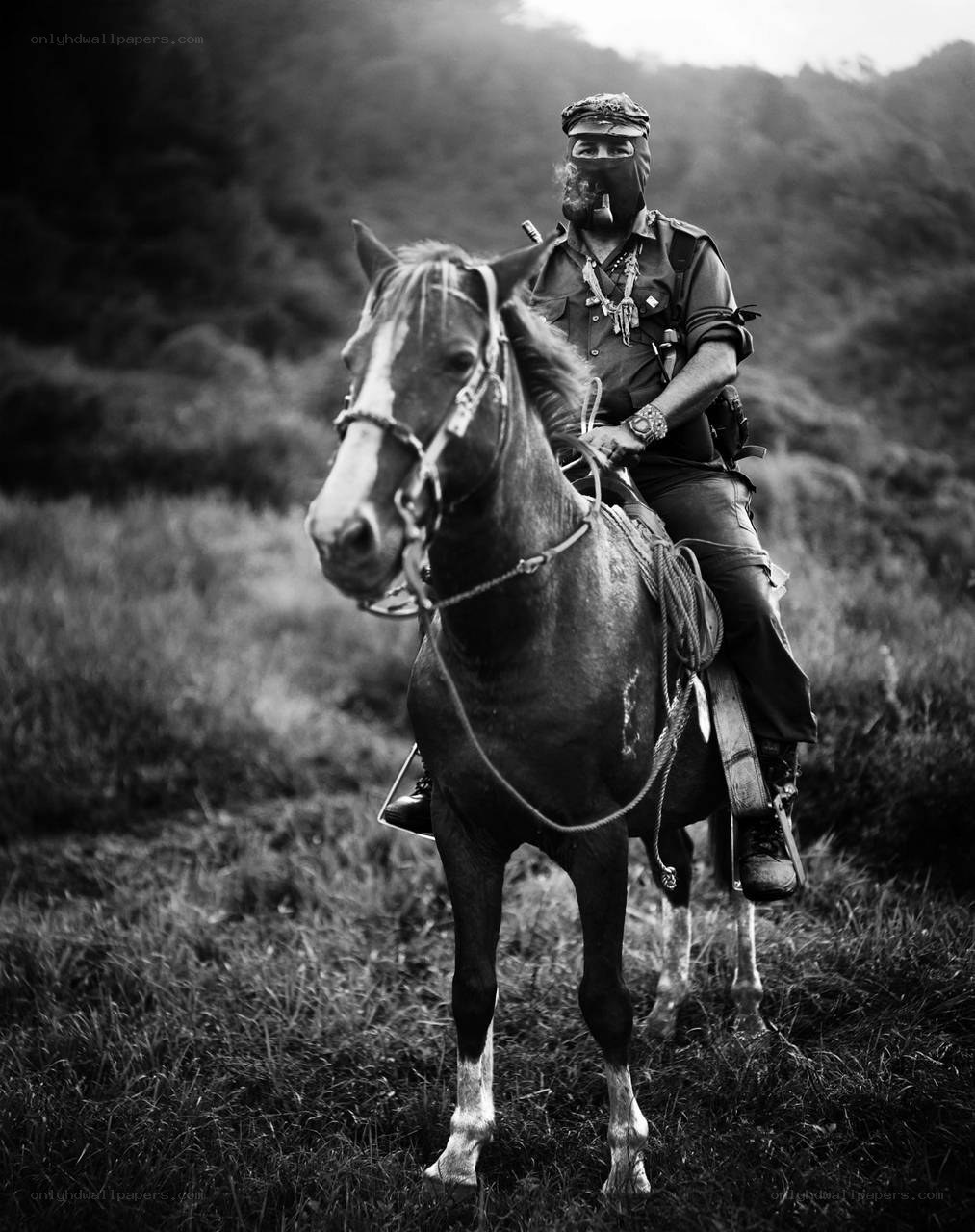 man on horseback in mask