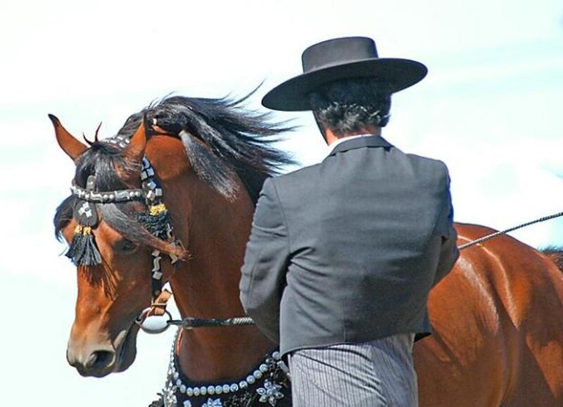 Man on Horseback