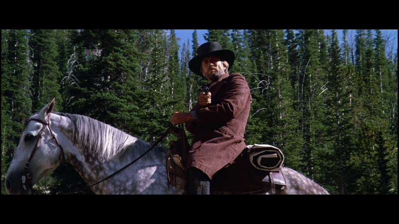 Man on horseback with gun