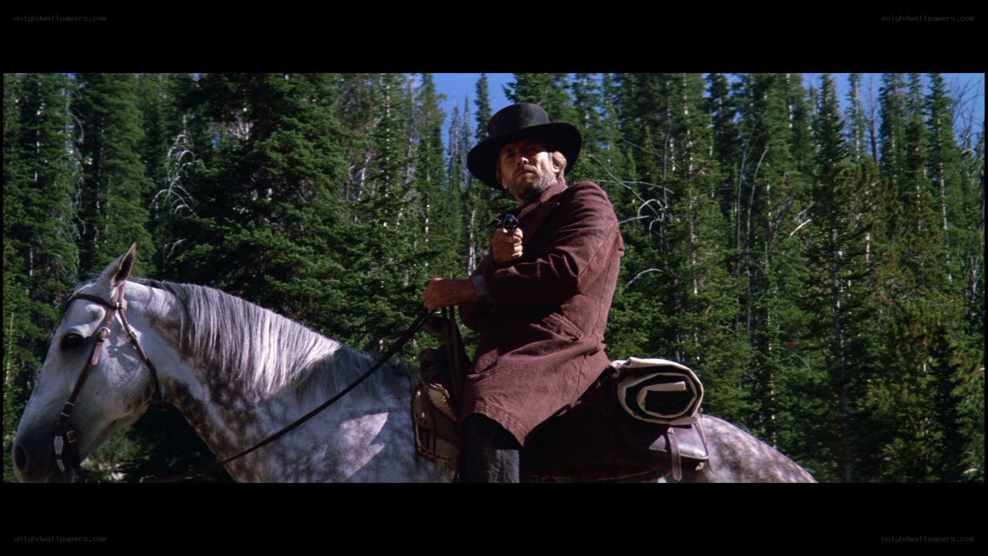 Man on horseback with gun