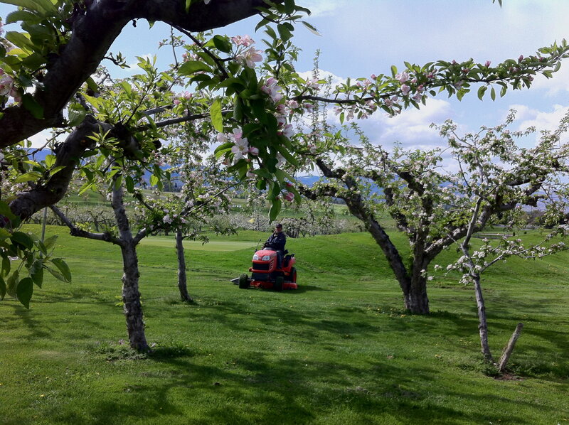 Man on Lawnmower