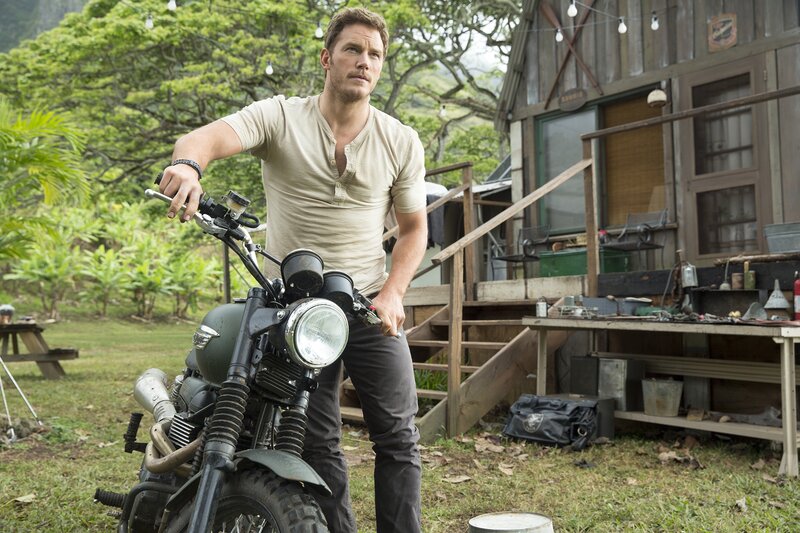 Man on Motorcycle — Green, Outdoor
