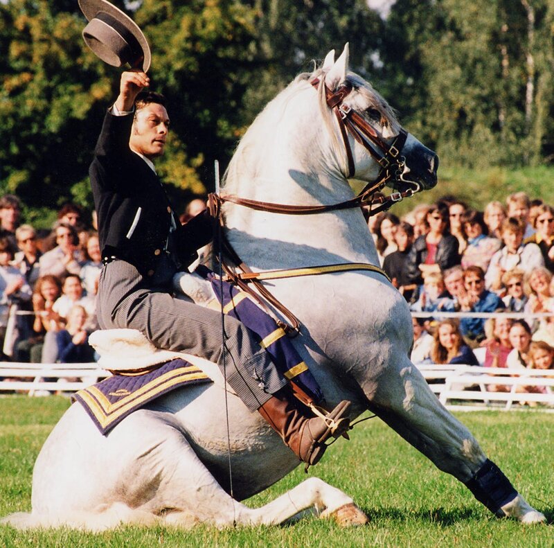 Man on Rearing Horse