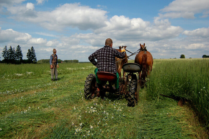 Man on Tractor in Field
