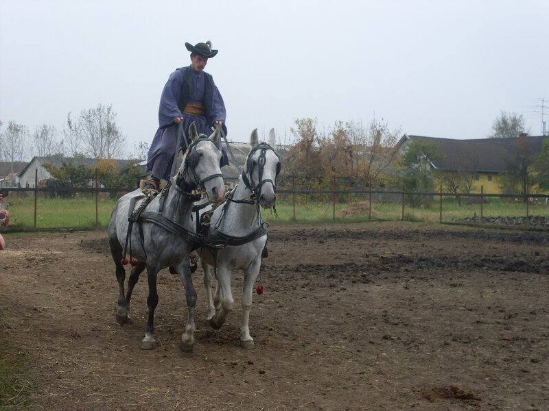 Man on Two Horses