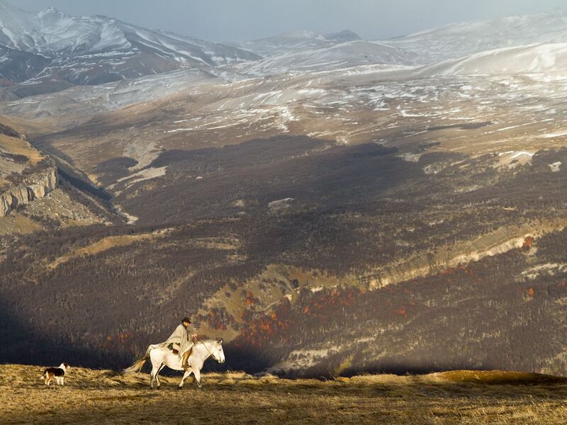 Man on White Horse — Brown