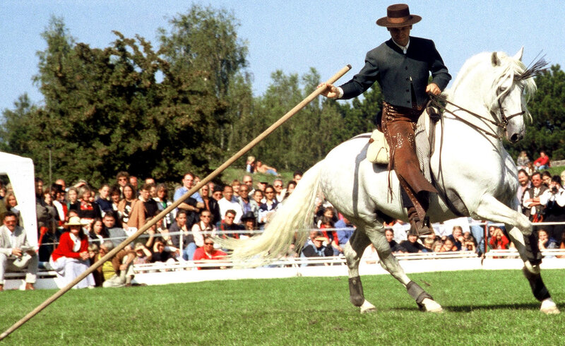 Man on White Horse — Green