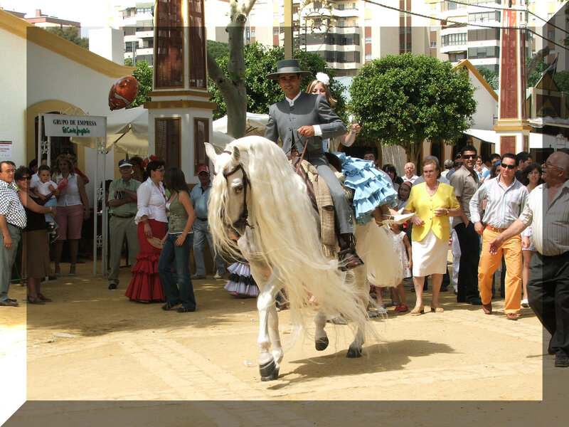 Man on white horse in parade