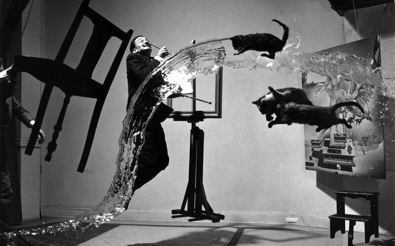 Man Painting with Cats