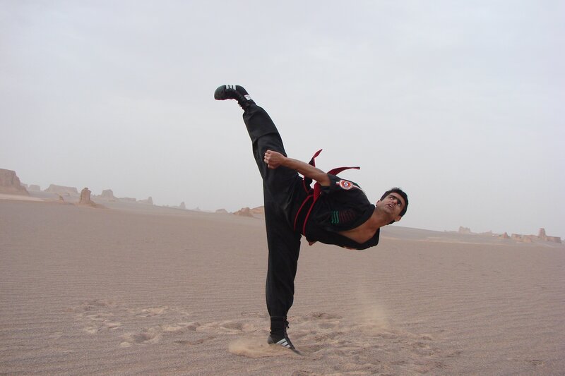 Man Performing Karate Kick — Brown