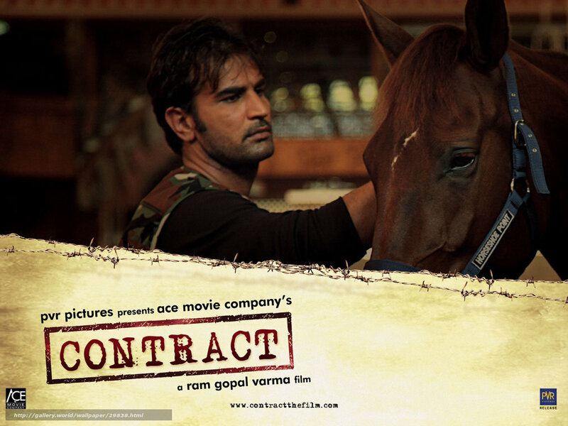 Man Petting a Horse