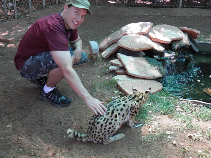 man petting a serval cat