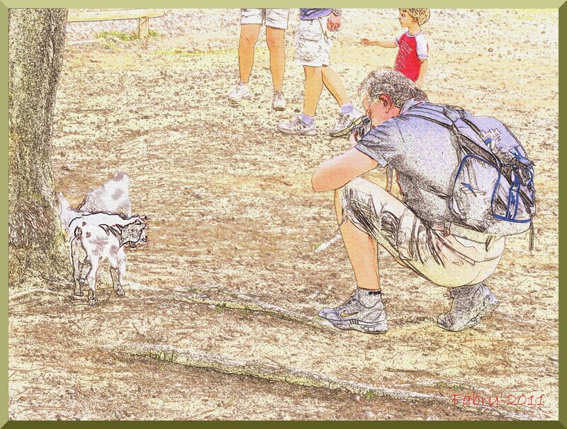 Man Photographing Goat