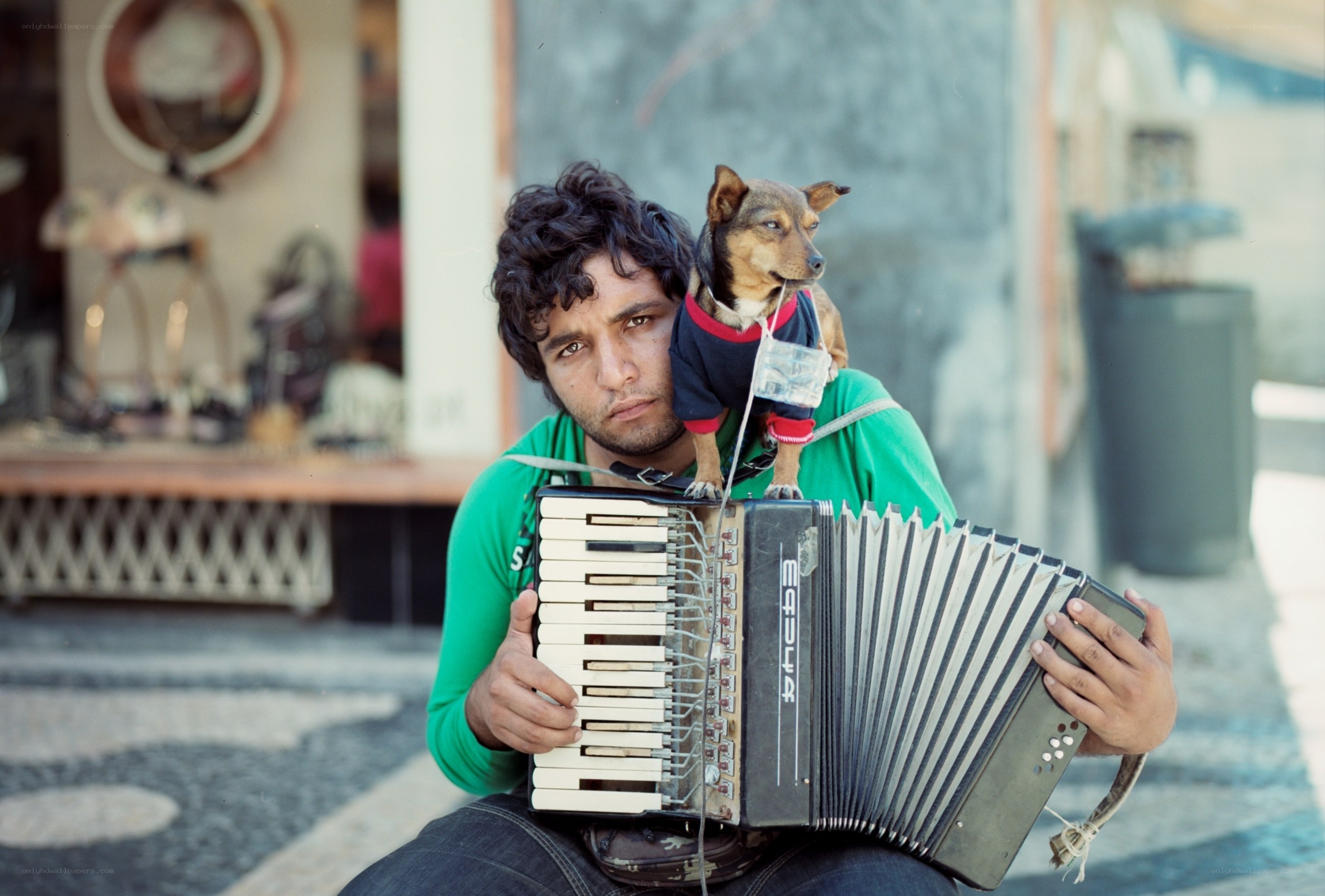 Man playing accordion with dog