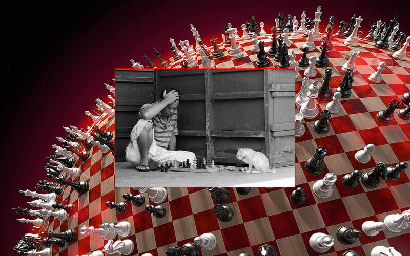 Man Playing Chess with Cat