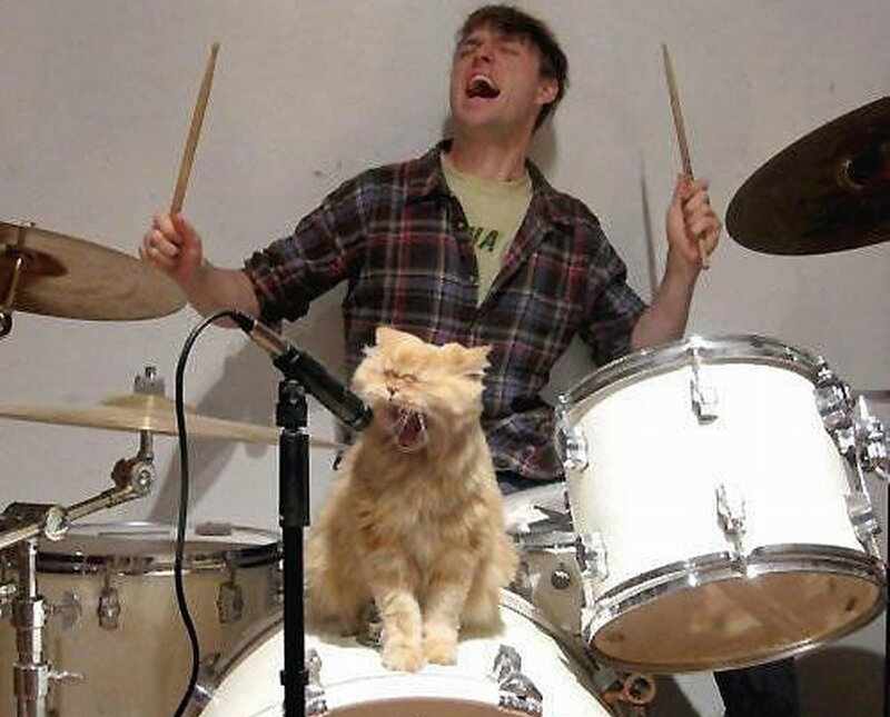 Man Playing Drums with Cat