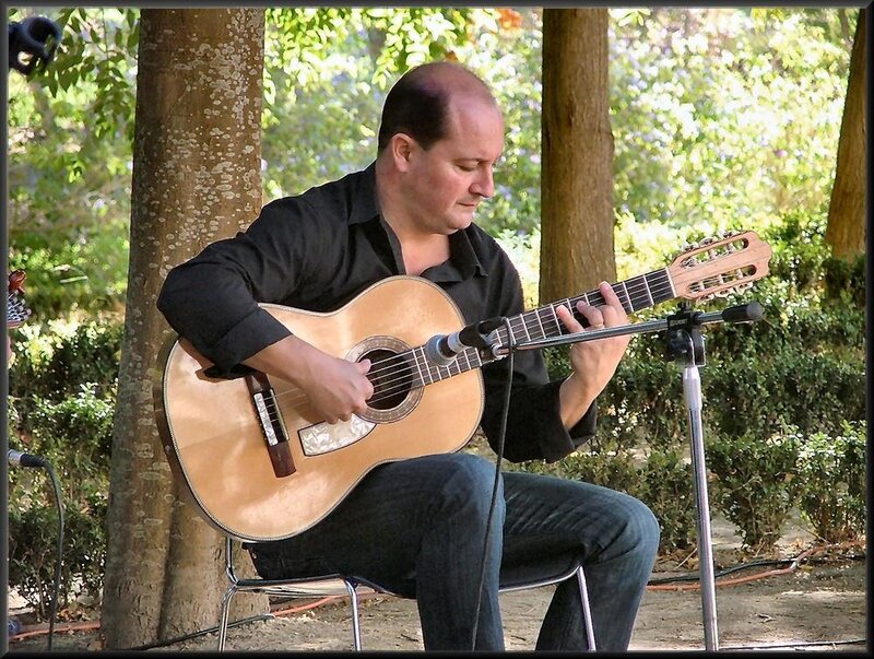 Man Playing Guitar — Brown, Calm