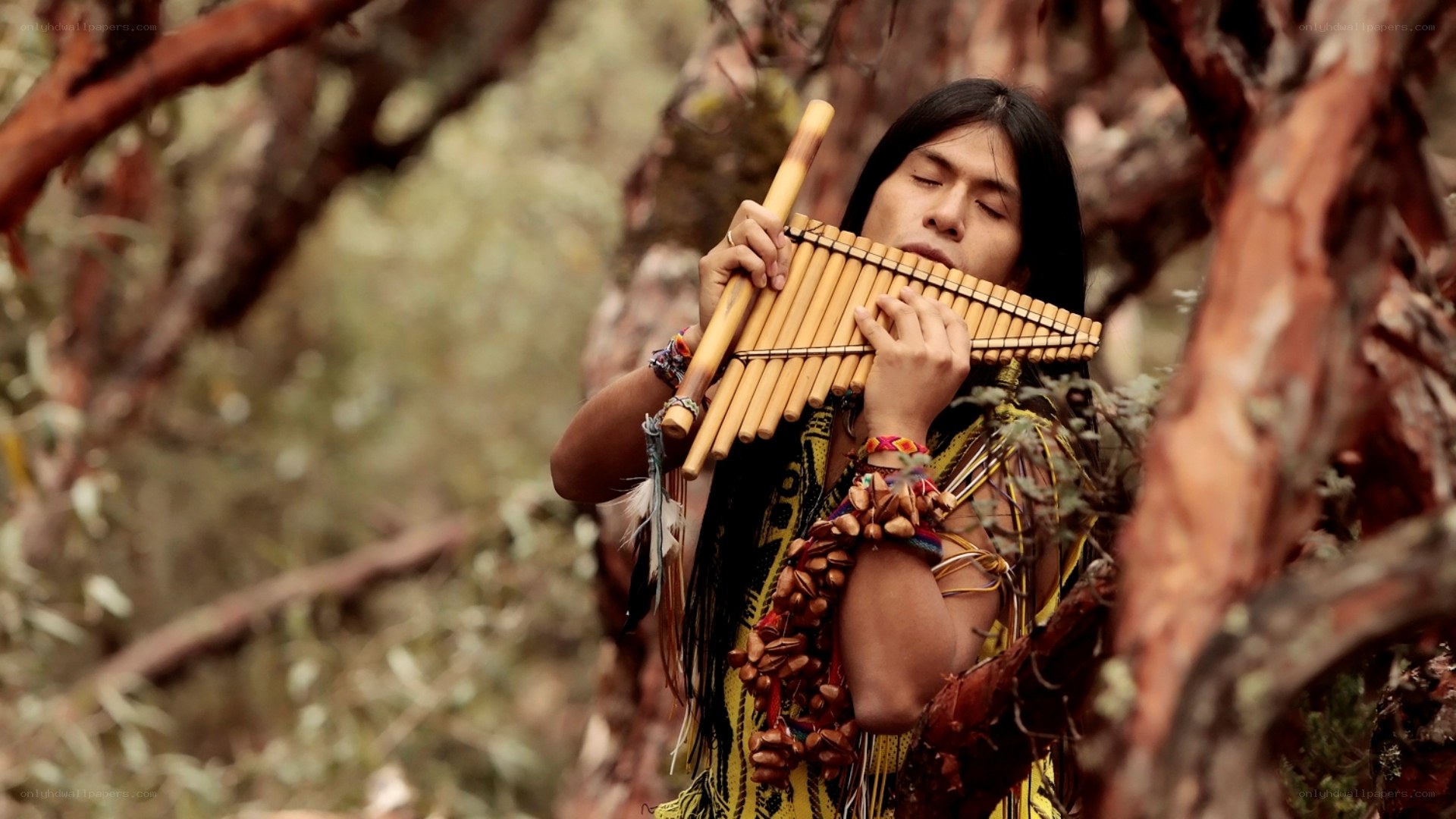 man playing pan flute in forest