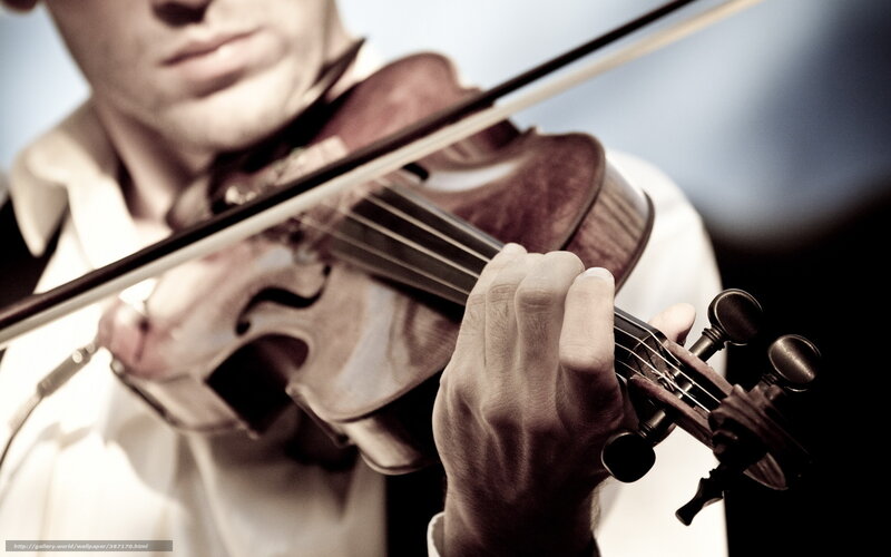 Man Playing Violin — Brown, Focused, Photograph, Bow