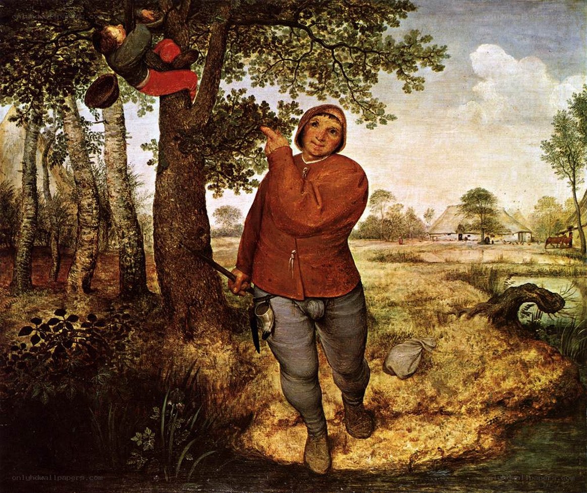 Man pointing at boy in tree