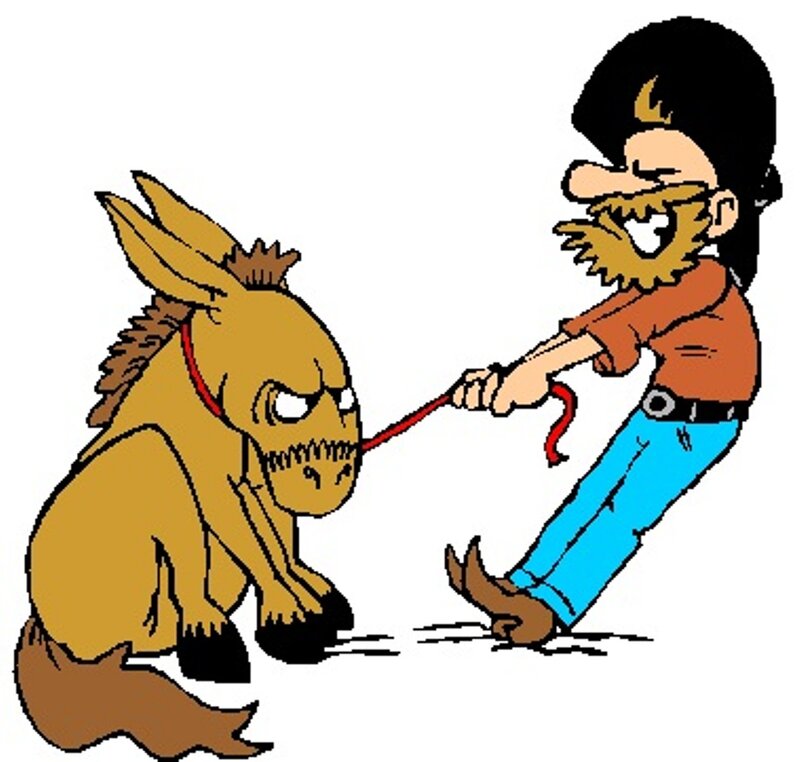 Man Pulling Stubborn Donkey